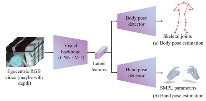 Illustration of a representative architecture for egocentric pose estimation.