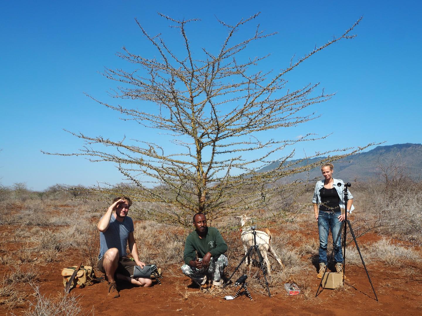 Research Team