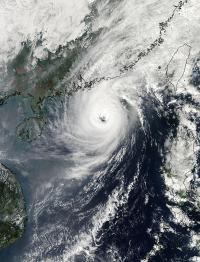 MODIS Image of Krosa