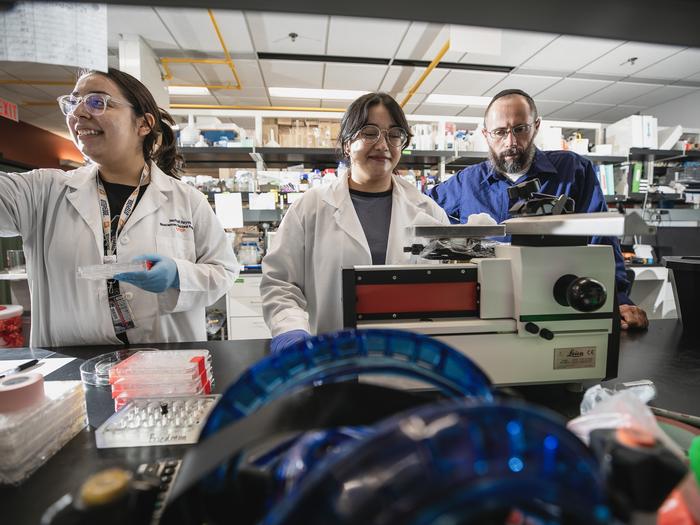 UTEP Researchers Reveal Alcohol Impacts Decision-Making in Males More Than Females