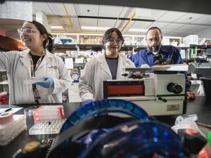UTEP Researchers Reveal Alcohol Impacts Decision-Making in Males More Than Females