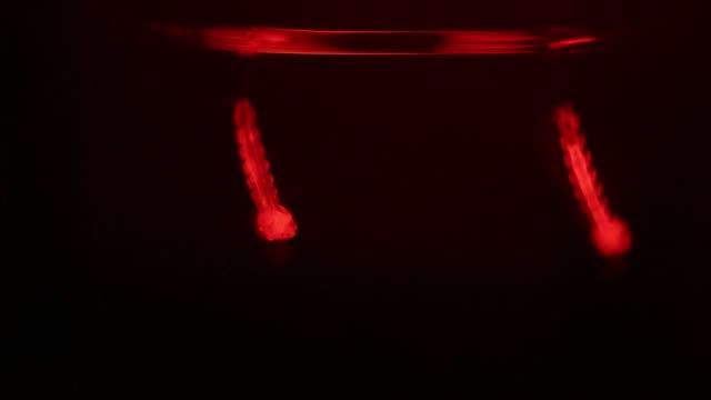 Transgenic mosquitoes
