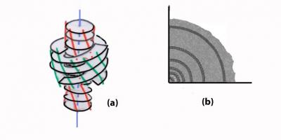 Lateral Growth of Type I Collagen Fibrils