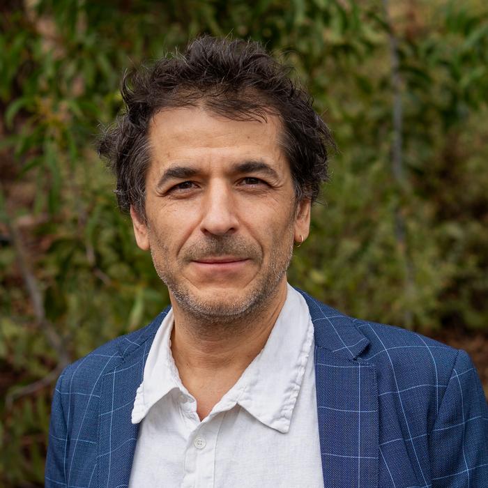 Professor Zsolt Demetrovics