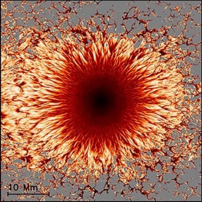 Sunspot