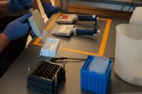 LPA Works with a Standard 24-Well Plate