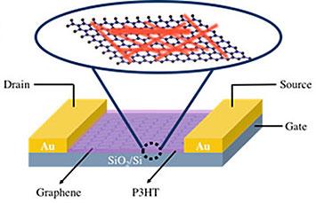 Graphene-nanowire Hybrid Device Cartoon