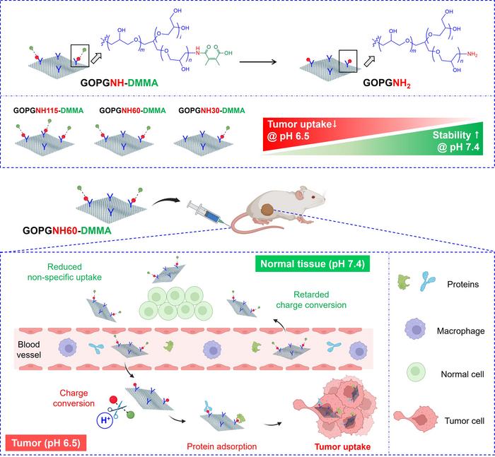 Graphene Oxide/Polyglycerol-Based pH-Responsive Nanocarriers for Targeted Tumor Drug Delivery