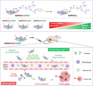 Graphene Oxide/Polyglycerol-Based pH-Responsive Nanocarriers for Targeted Tumor Drug Delivery