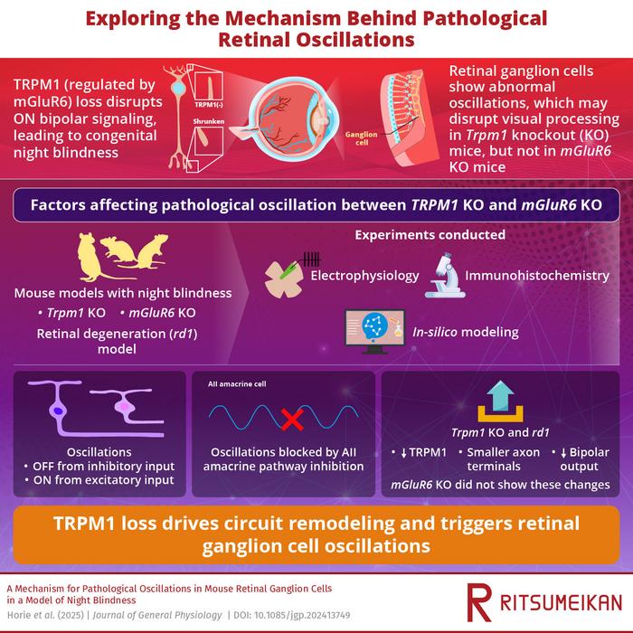 TRPM1 Deficiency Induces Pathological Retinal Oscillations