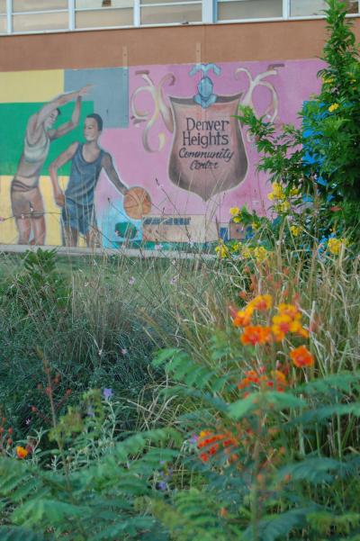 Community Gardens Don't Impact Crime Rate