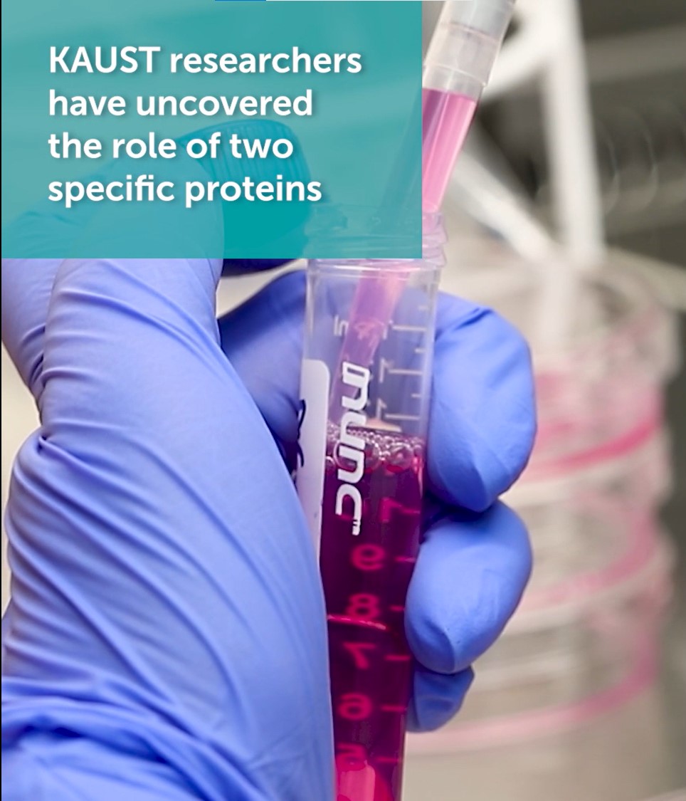 RNA: Don't kill the messenger