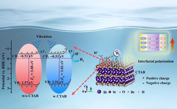 Thickness-Regulated Interfacial Polarization in CTAB-Tailored Bi2WO6 for Enhanced Piezocatalysis