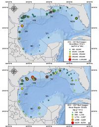 Concentration of PAHs in Red Snapper