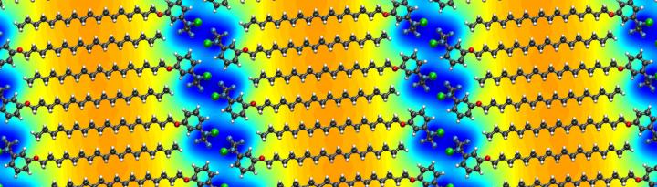 Self-Assembled Supramolecular Structures on Graphene
