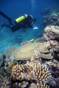Great Barrier Reef