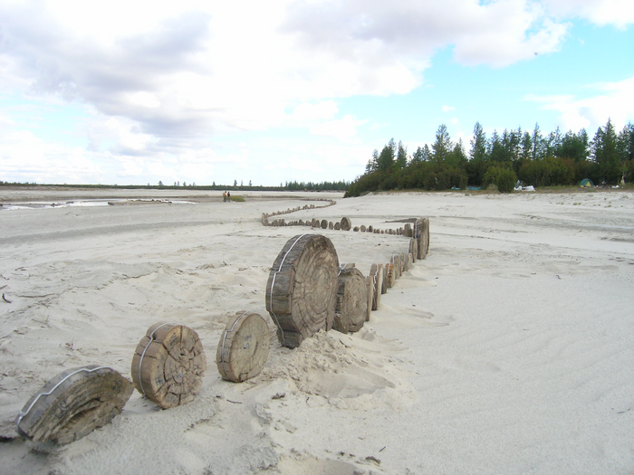 subfossil trees