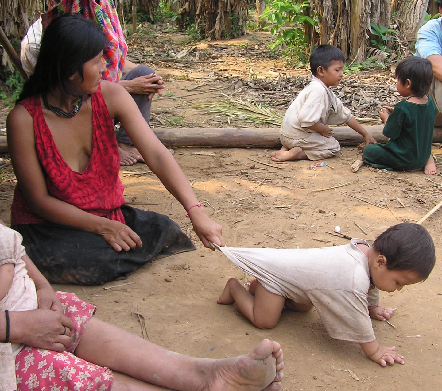 Parasitic Worms Affect Human Reproduction (2 of 3)
