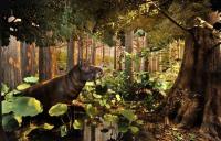 Coryphodon