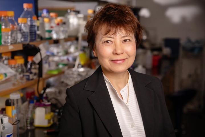 Christina Cheng, University of Illinois at Urbana-Champaign