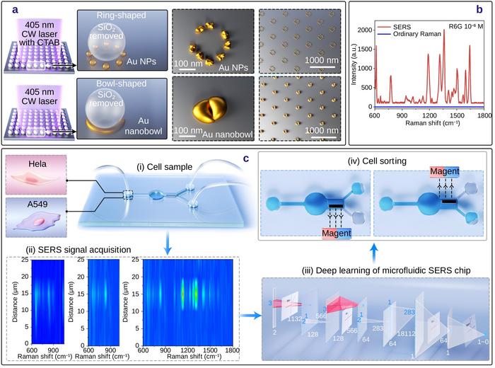 AI-assisted SERS microfluidic chip enables high-precision label-free ...