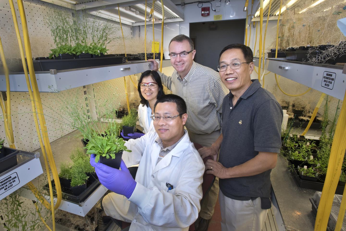 Plant Scientists