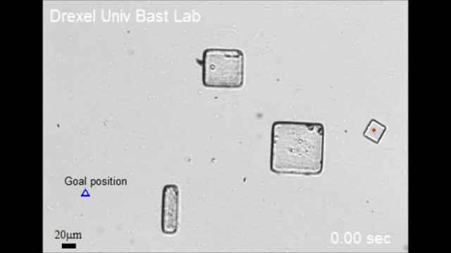 Bacteria-Powered Microrobots Navigating in Fluid Environment