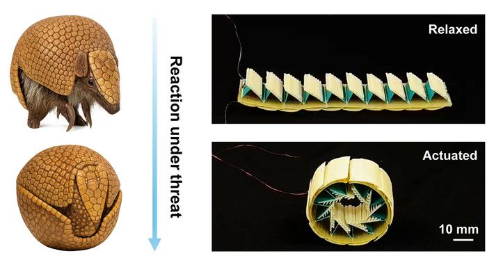 Autonomous Armadillo-bot Protects Fragile Devices
