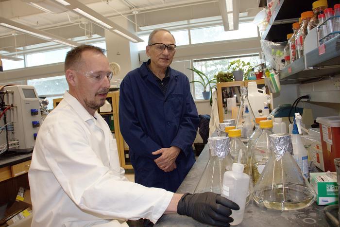 Utah State University biochemists study resurrected ancient nitrogenases