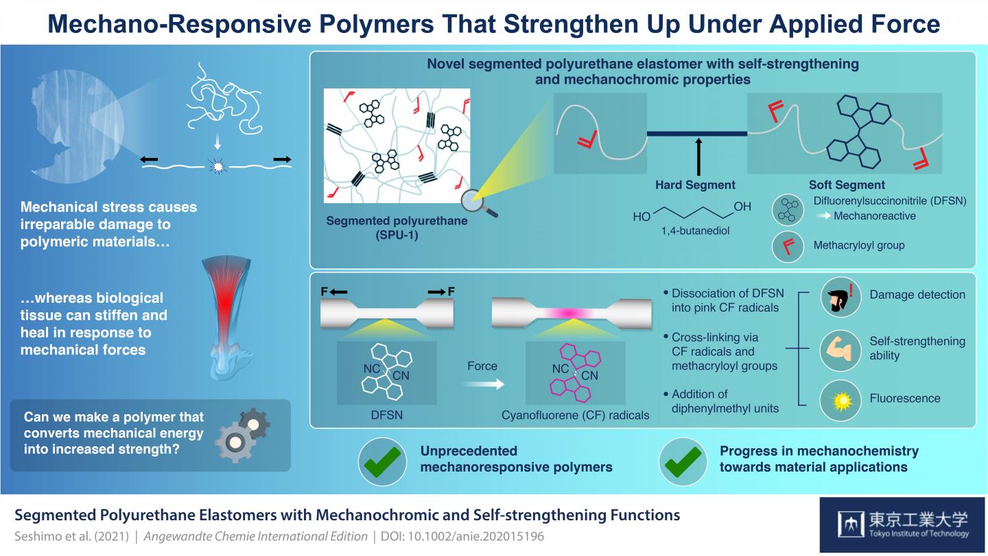 Figure 1 Schematic illustration of mechano-responsive polymers