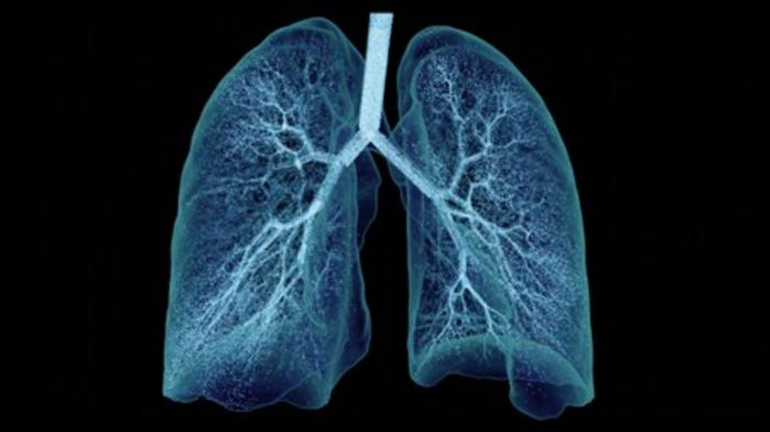 Lung digital twin with aerosol particles ©Ebenbuild 2026