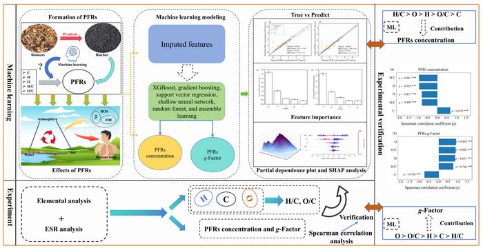 Elemental composition-based prediction of persistent free radicals concentration and g-Factor in lignocellulose-derived biochar combining interpretable machine learning and experimental analysis
