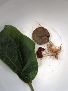 Modern betel quid ingredients