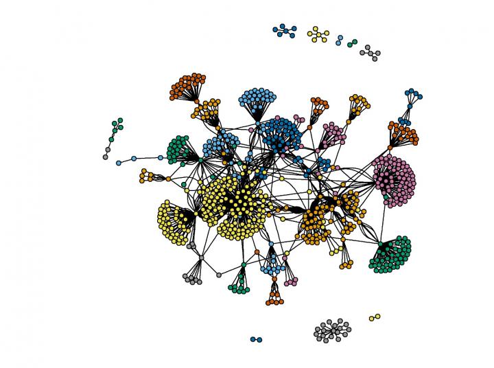 Drug Network