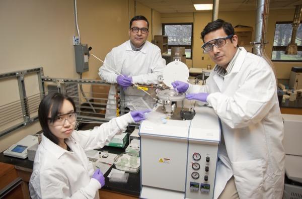 Hui Li, Deb Jaisi, Sunedra Joshi, University of Delaware