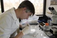Pierre Comizzoli, Smithsonian Conservation Biology Institute