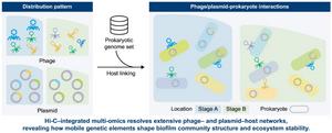 Hi-C reveals phage and plasmid host networks in wastewater biofilms.