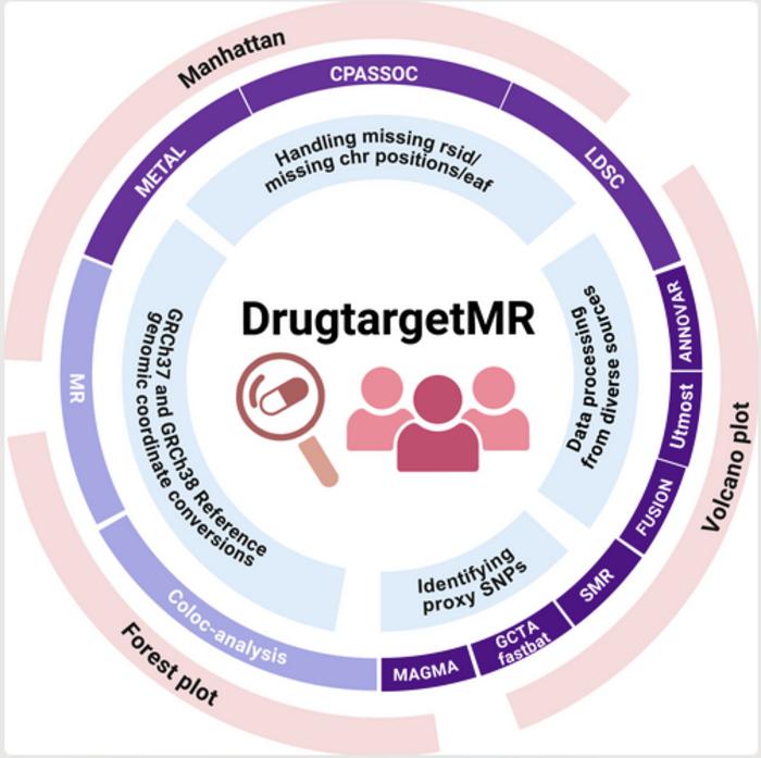 Functional Composition and Workflows of DrugtargetMR