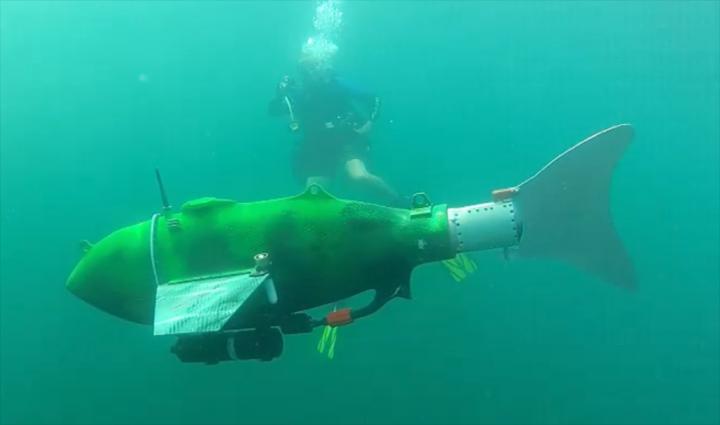 Robo-Fish