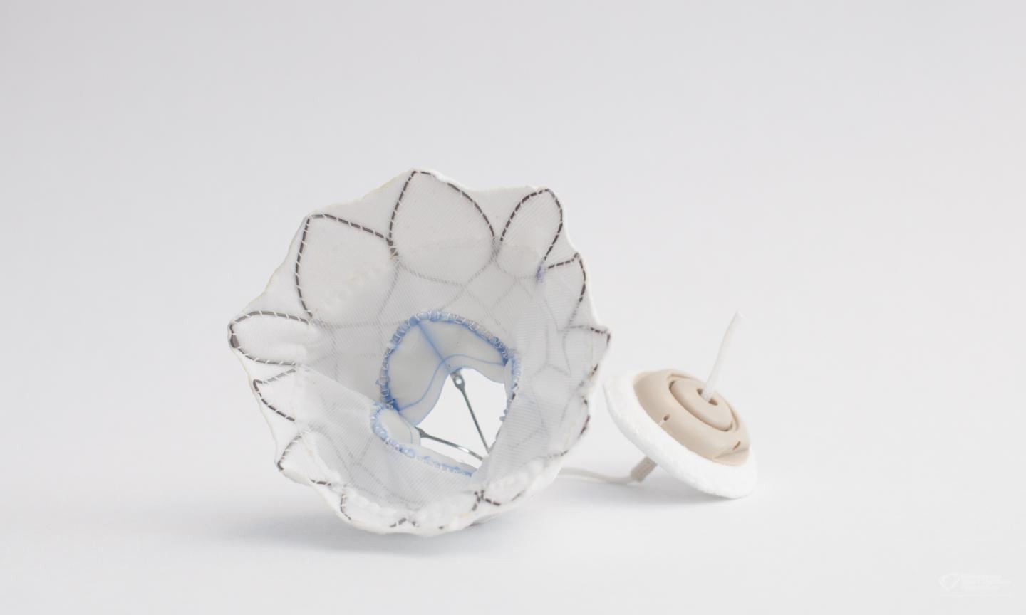 Tendyne TMVR Device