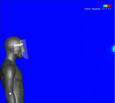 Sneeze and face shield
