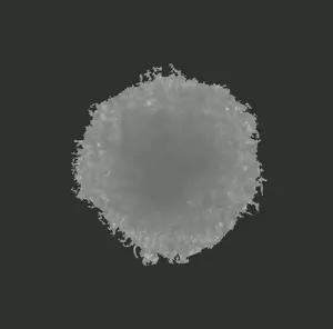 Necrosis in lab grown cells