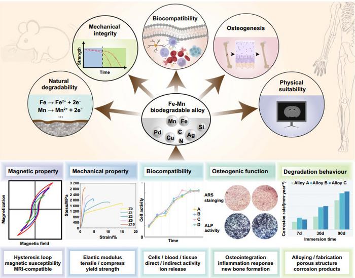 The performance requirements of Fe-Mn alloys as orthopedic implants
