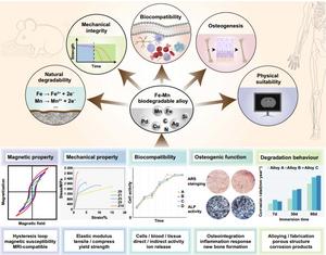 The performance requirements of Fe-Mn alloys as orthopedic implants