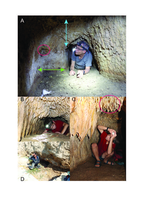 Tunnels C and D