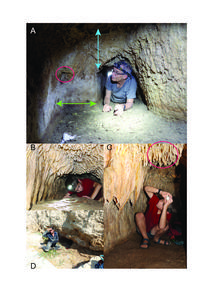Tunnels C and D
