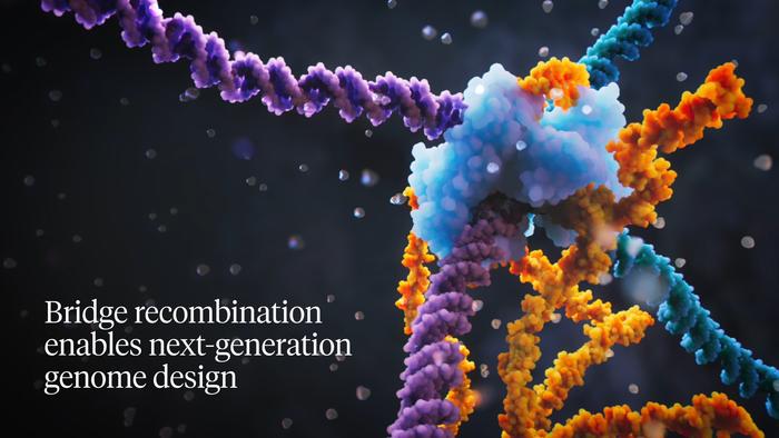 Bridge Recombinase Mechanism - with caption
