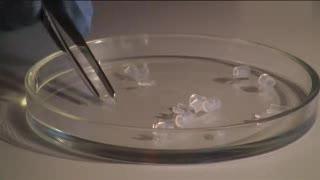 New Scientific Method Unmasks Chronic Infections