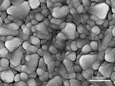 SEM of MoSx