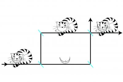 The Quantum Cheshire Cat